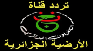 حالا نزل تردد القناة الجزائرية الأرضية وشفرة تشغيلها لمباريات أمم إفريقيا 2025